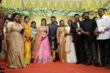 Shanthanu - Keerthi Wedding Reception