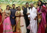 Shanthanu - Keerthi Wedding Reception