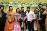 Shanthnu - Keerthi Wedding Reception