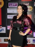SIIMA Awards Red Carpet
