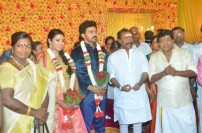 Singamuthu's Son Wedding Reception