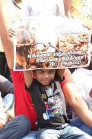 Thadai Athai Udai - Jallikattu Supporters at Marina 
