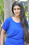 Theriyama Unnai Kadhalichitten Press Meet