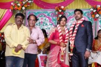 Vasu Vikram's daughter wedding reception