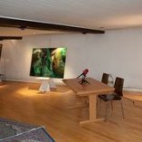 Veena Malik Invited for Body Art Exhibition