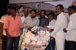 Virudhachalam Audio Launch