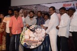 Virudhachalam Audio Launch