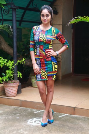 X Videos Movie Audio Launch