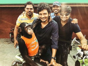 Gorilla (aka) Gorillaa