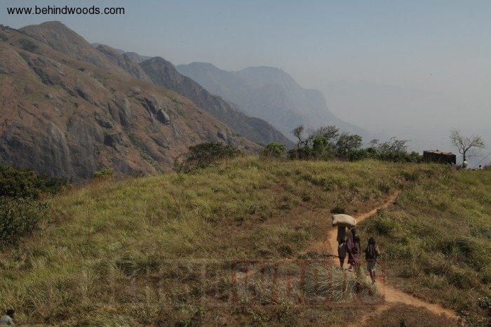Merku Thodarchi Malai (aka) Maerku Thodarchi Malai