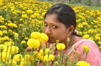 Pachaikkili (aka) Pachaikili