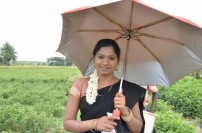 Pachaikkili (aka) Pachaikili