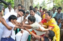 Pachaikkili (aka) Pachaikili