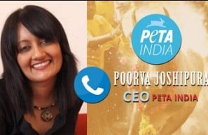 PETA will go to court if Jallikattu ban revoked - Poorva Joshipura, PETA India CEO