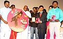 Pulipaarvai Audio Launch