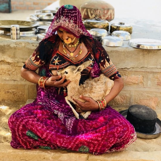 A Tribal Woman Breastfeeding a Hungry Deer Calf