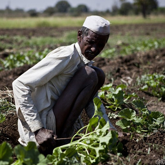 Announcement for farmers