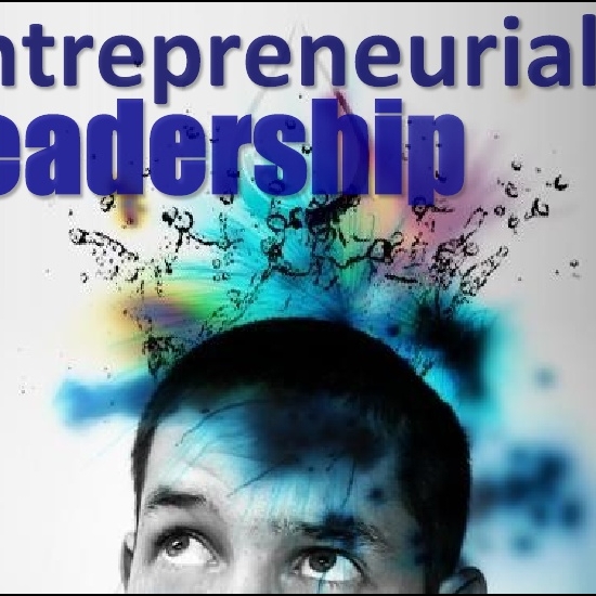 Entrepreneurial leadership 
