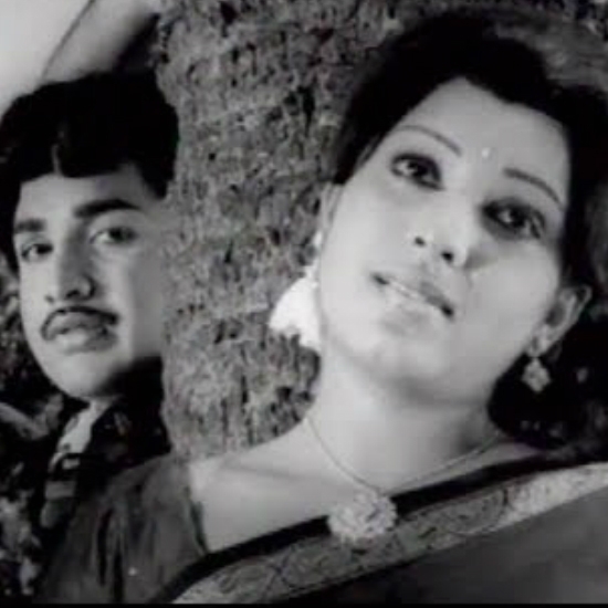 Nan Pesa Vandhen- Paloothi Valartha Kili