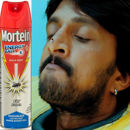 Mortein Insect Spray