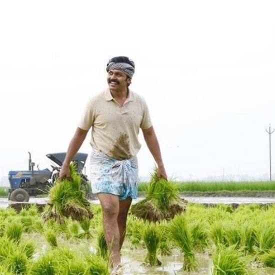 கதைக்கரு