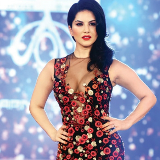 Bollywood debut in Jism 2 