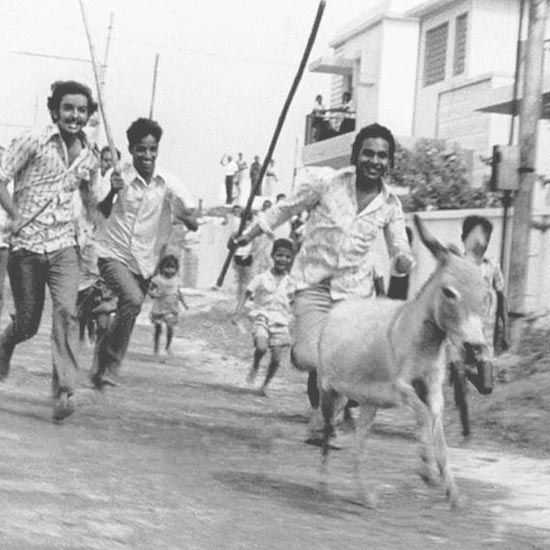 அக்ரகாரத்தில் கழுதை 