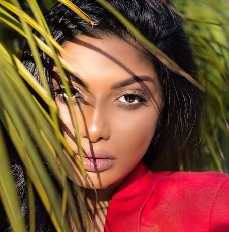 Chandrika Ravi (aka) Chandrika