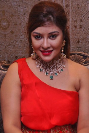 Payal Ghosh (aka) Payal