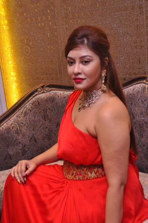 Payal Ghosh (aka) Payal