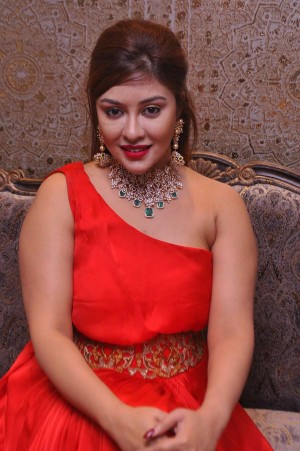 Payal Ghosh (aka) Payal