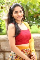 Punarnavi Bhupalam (aka) Punarnavi Bhupaalam