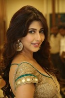 Sonarika Bhadoria (aka) Sonarika Bhadoria