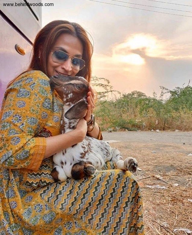 Aishwarya Dhanush (aka) Aishwarya