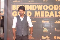 Behindwoods Gold Medals 2017 - The Red Carpet Set 2