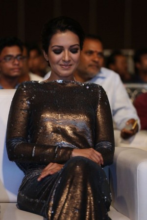 Goutham Nanda Audio Launch