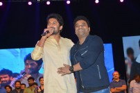 Nenu Local Audio Launch