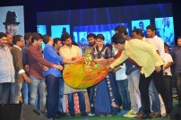 Nenu Local Audio Launch