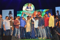 Nenu Local Audio Launch