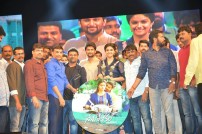 Nenu Local Audio Launch