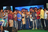 Nenu Local Audio Launch