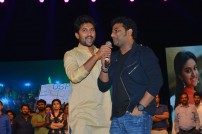 Nenu Local Audio Launch