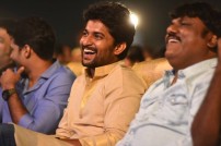 Nenu Local Audio Launch