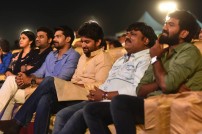 Nenu Local Audio Launch