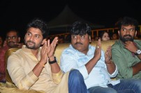 Nenu Local Audio Launch