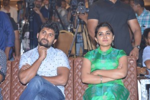 Ninnu Kori Blockbuster Celebrations