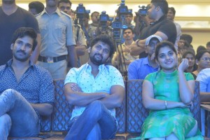 Ninnu Kori Blockbuster Celebrations