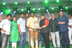 Ninnu Kori Blockbuster Celebrations