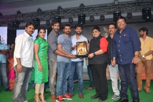 Ninnu Kori Blockbuster Celebrations