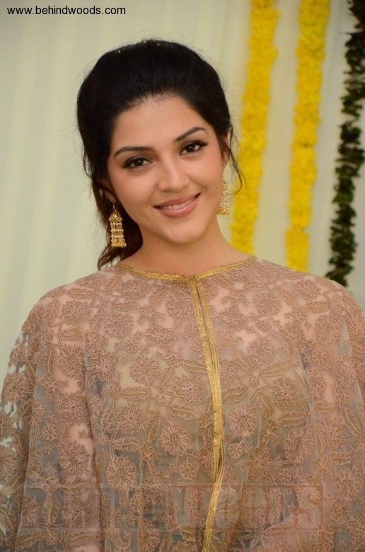 Gopichand 25 (aka) Gopichand 25 Movie